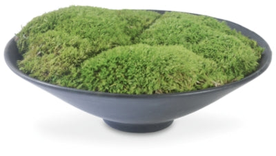 Greenery Greenery
