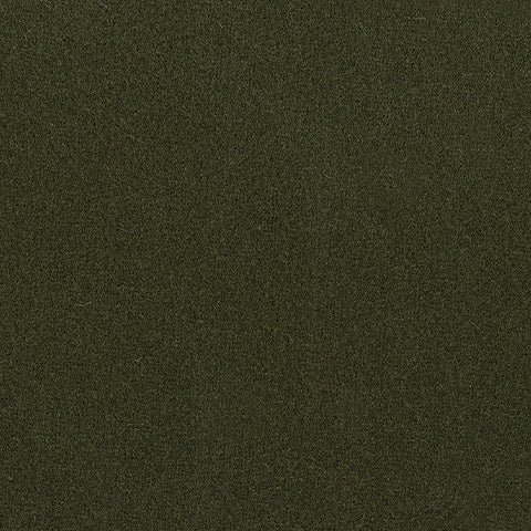 Aceituna