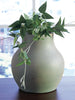 Florero Baychester