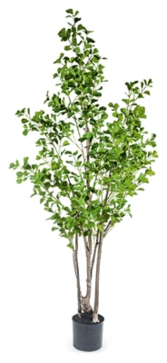 Greenery Greenery