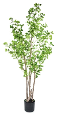 Greenery Greenery