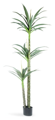 Greenery Greenery