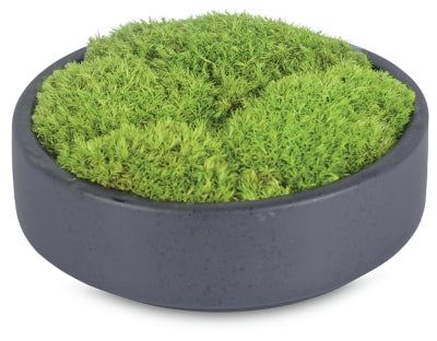 Greenery Greenery