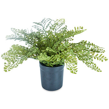 Greenery Greenery