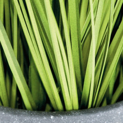 Greenery Greenery