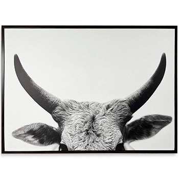Arte de Pared