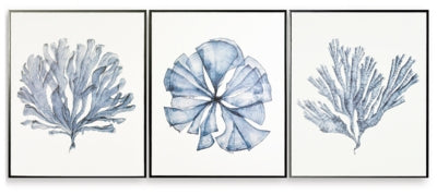 Arte de Pared