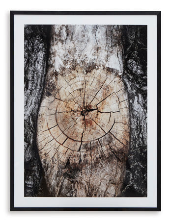 Arte de Pared Freyburn