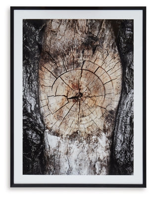 Arte de Pared Freyburn