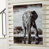 Arte de Pared Glinyard