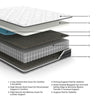 Mattress Queen 10 Inch Pocketed Hybrid