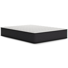QUEEN MATTRESS - Limited Edition Firm